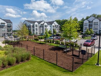 Dog park